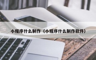 新泰小程序什么制作（小程序什么制作软件）